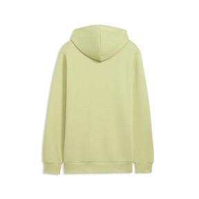 PUMA Tonal Graphic Men's Full-Zip Hoodie Product Image