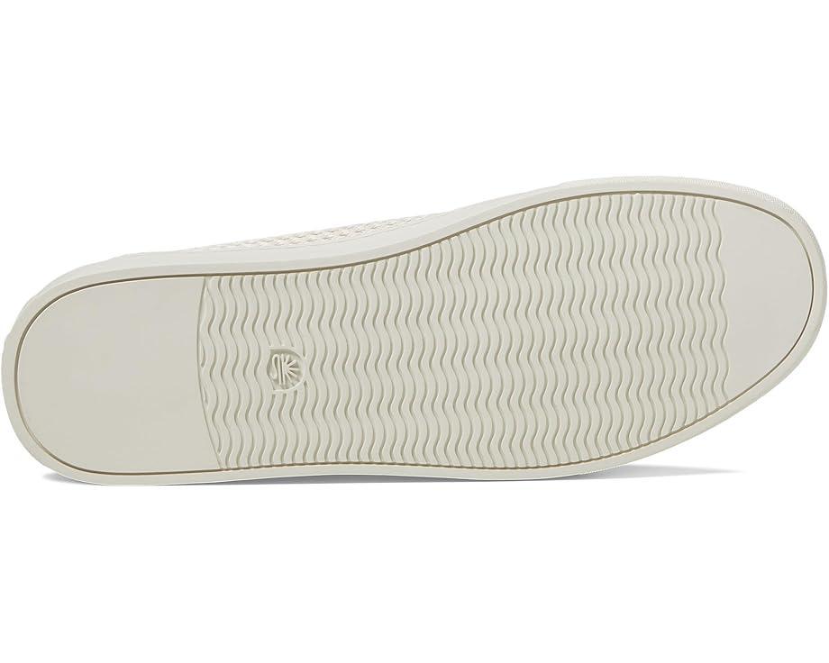 Vacationland Sneaker Lace Product Image