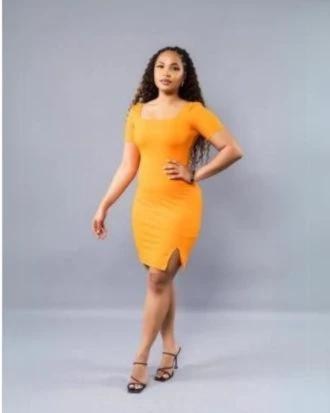 Zayla Dress Product Image