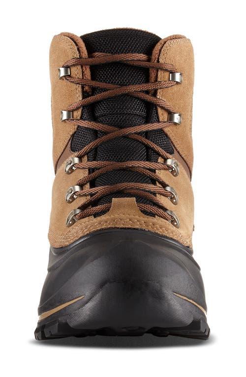 SOREL Buxton Waterproof Snow Boot In Multi Product Image