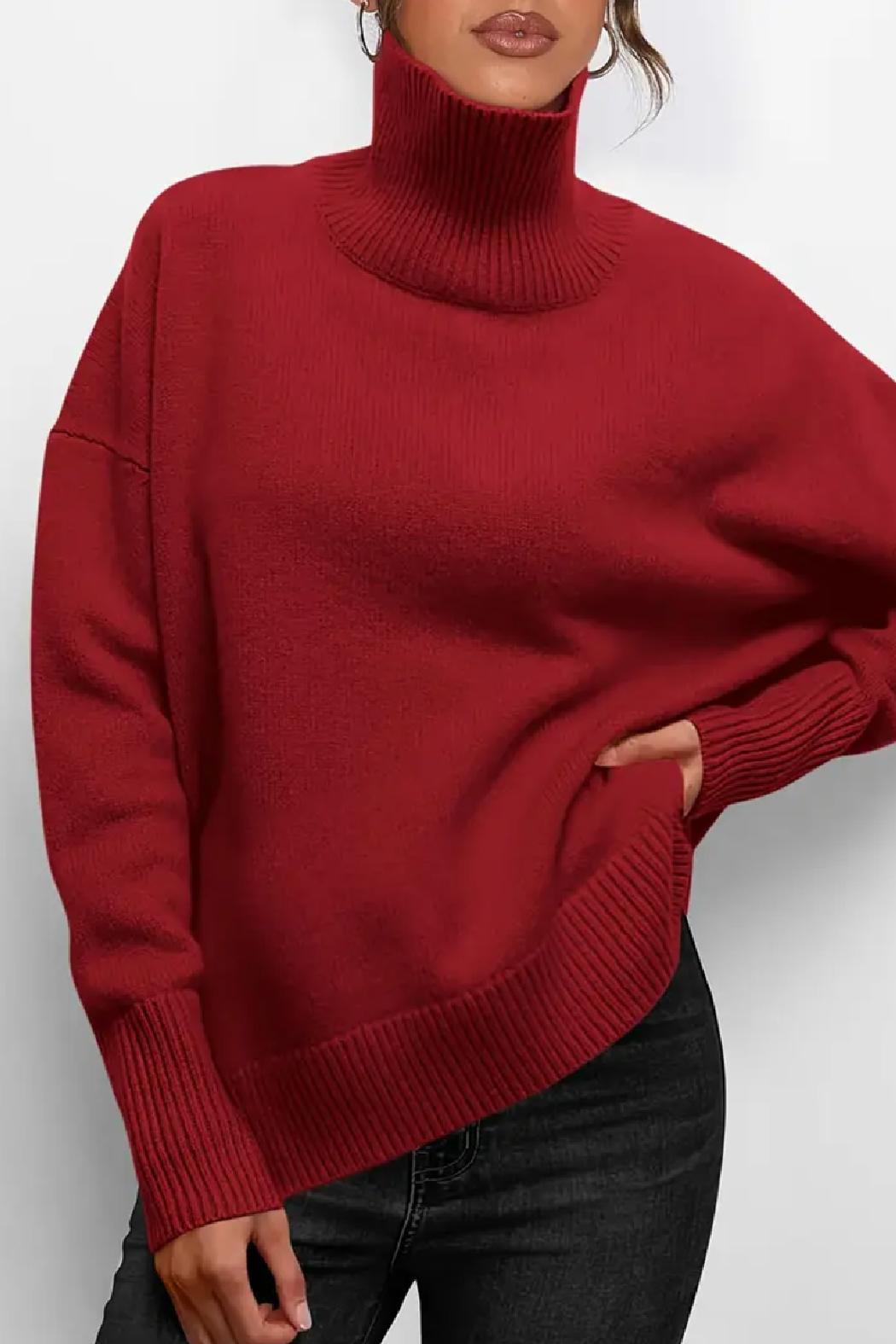 Saundra Ribbed Knit Turtleneck Product Image