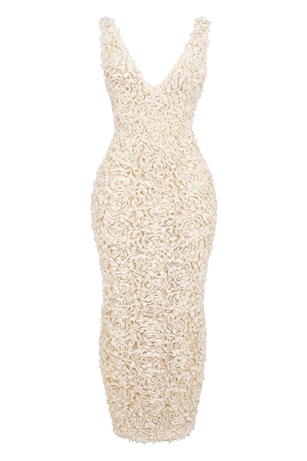 Carena Creme Plunge Floral Appliqué Maxi Dress Product Image