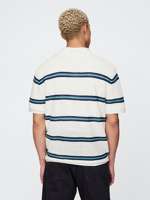 Textured Crochet Polo Shirt Product Image
