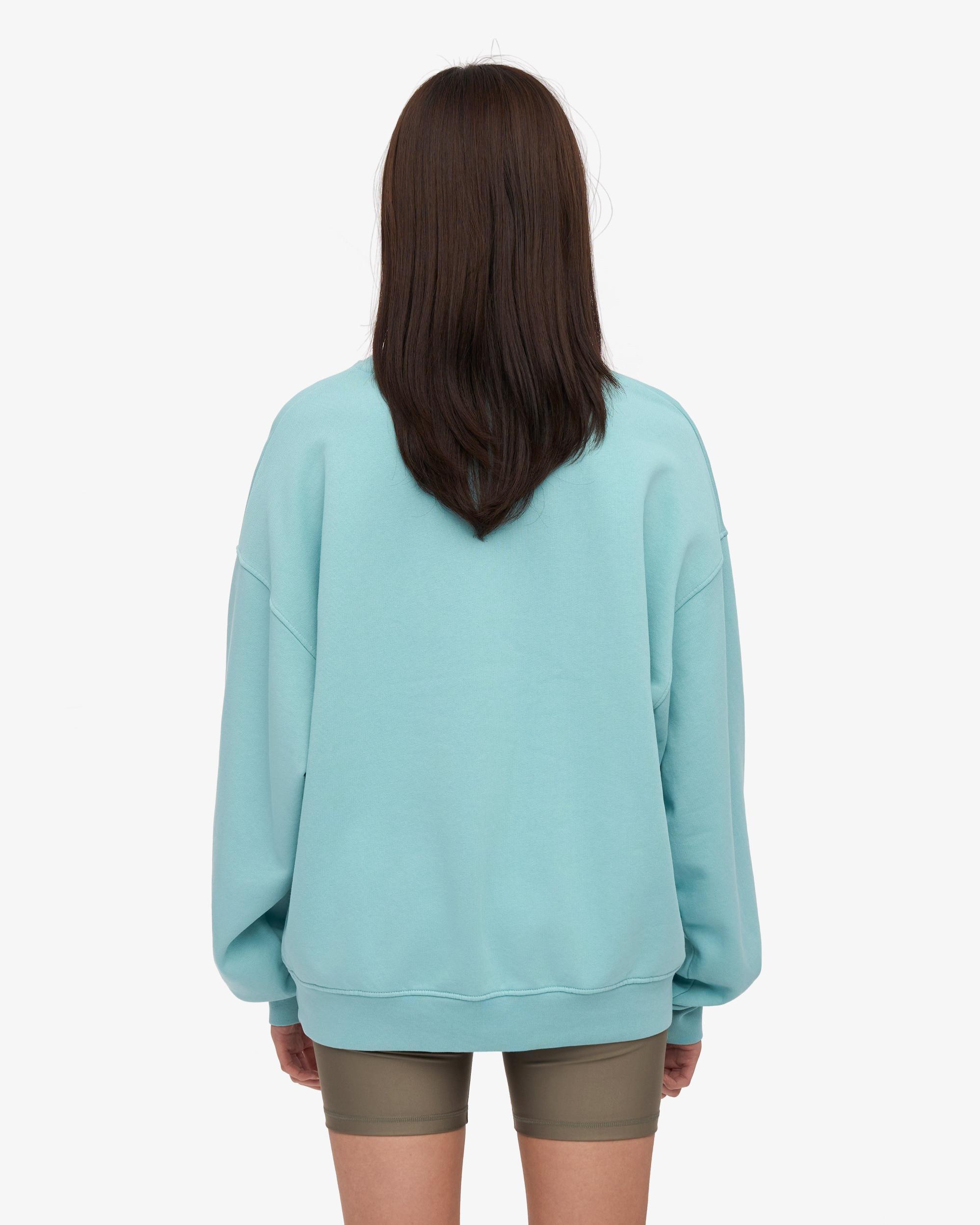 Organic Oversized Crew - Oyster Grey Product Image