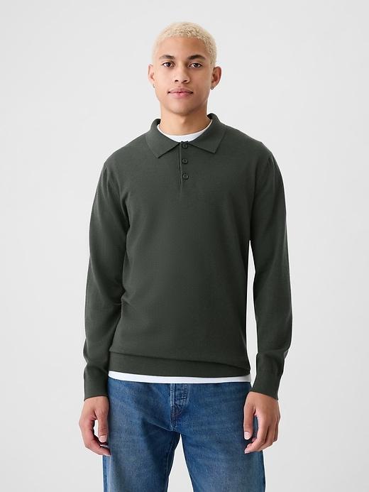 Merino Polo Sweater Product Image