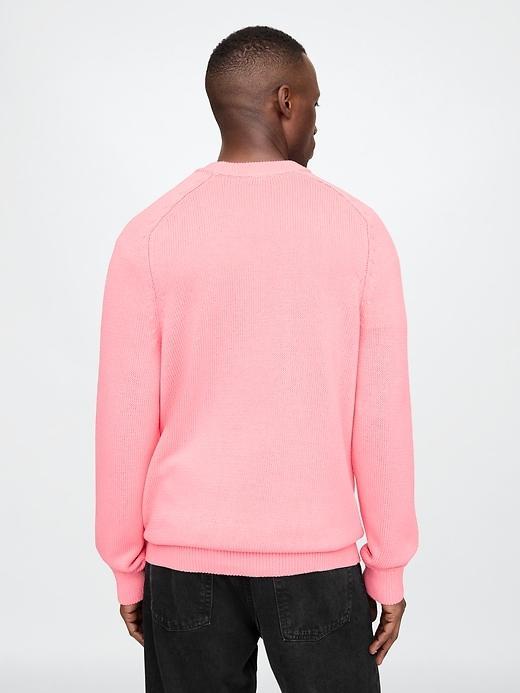 Raglan Crewneck Sweater Product Image