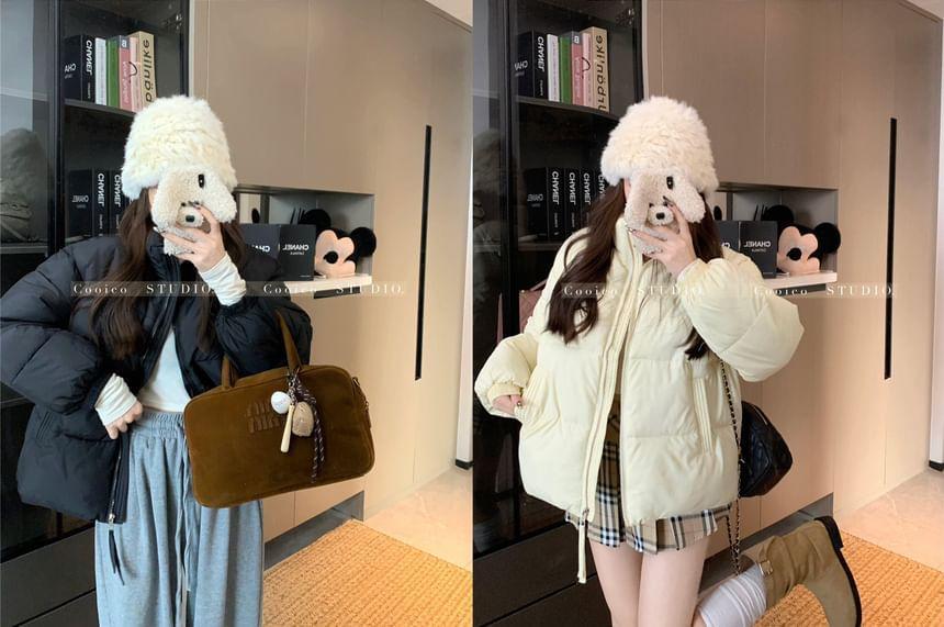 Stand Collar Plain Padded Zip Jacket Product Image