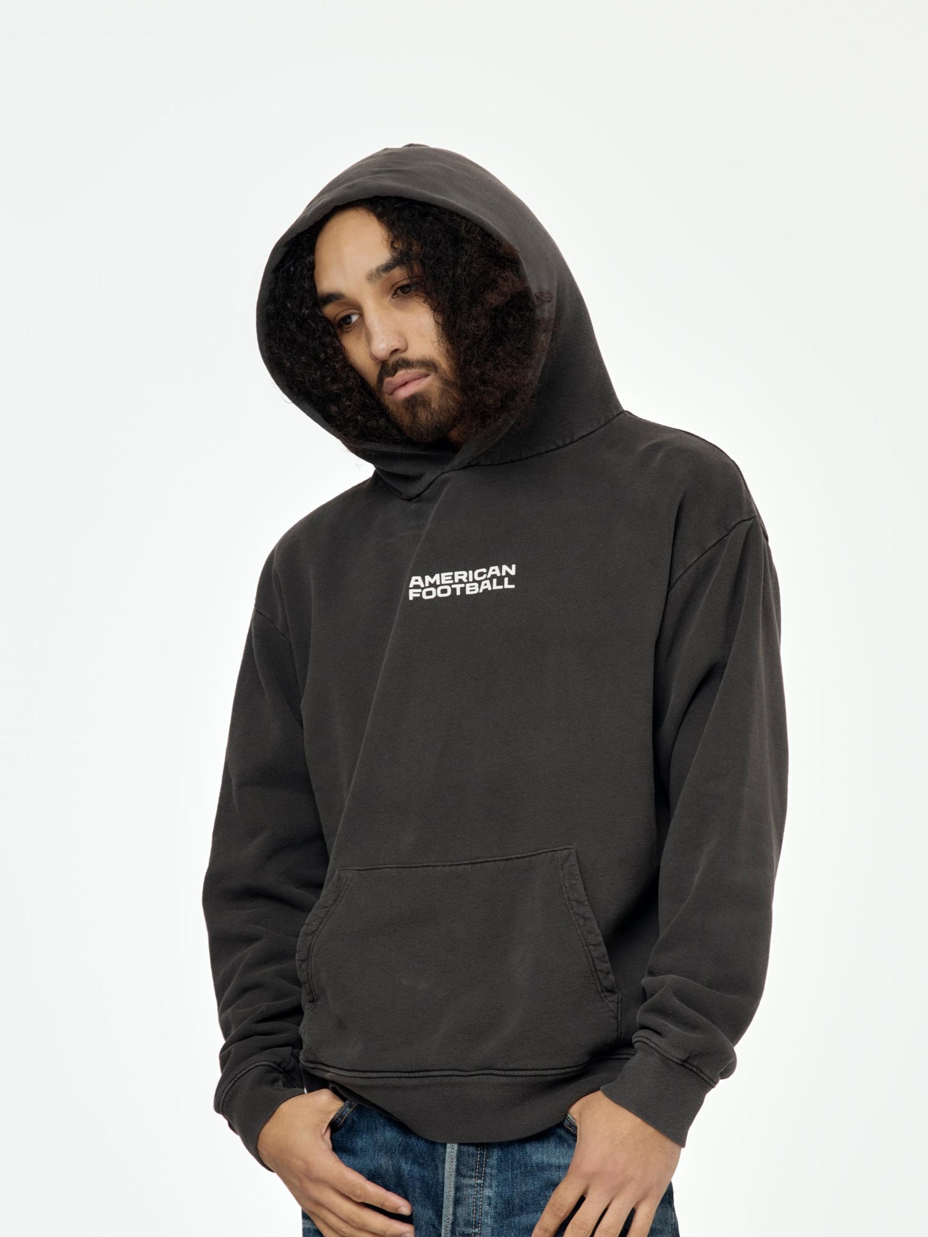 Big Icon Hoodie (Vintage Black) Product Image