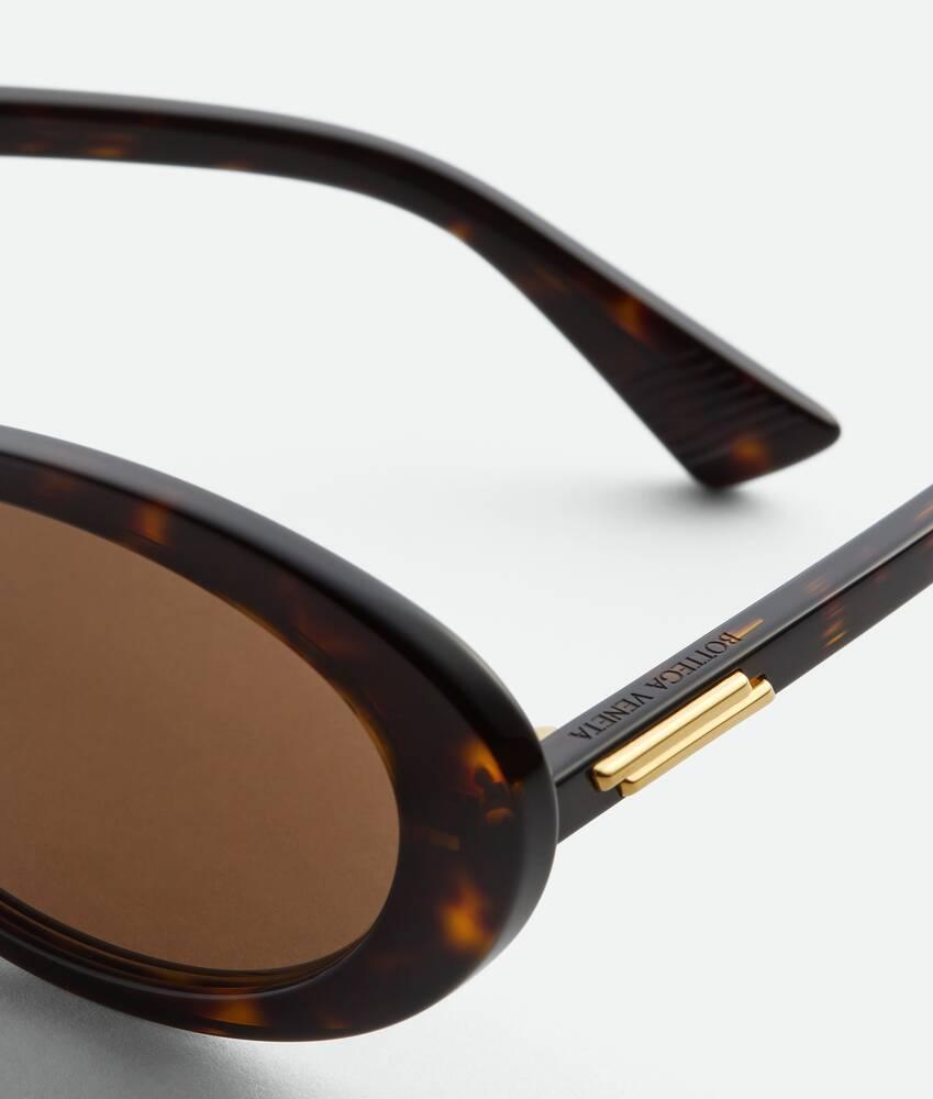 Classic Oval Sunglasses in Havana/brown Product Image