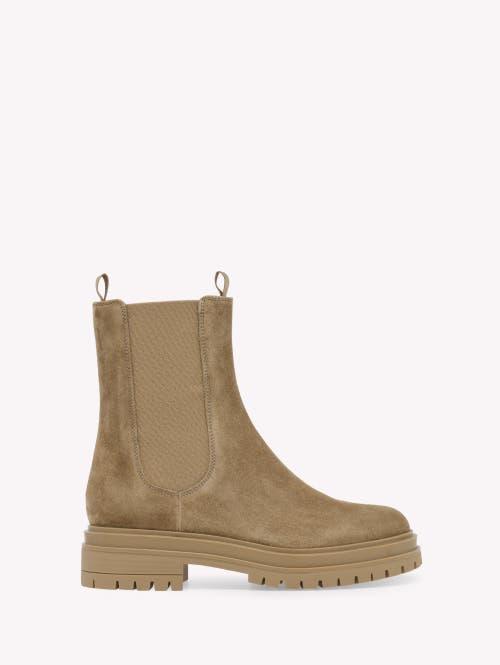 GIANVITO ROSSI Chester Suede Chelsea Boots In Beige Product Image