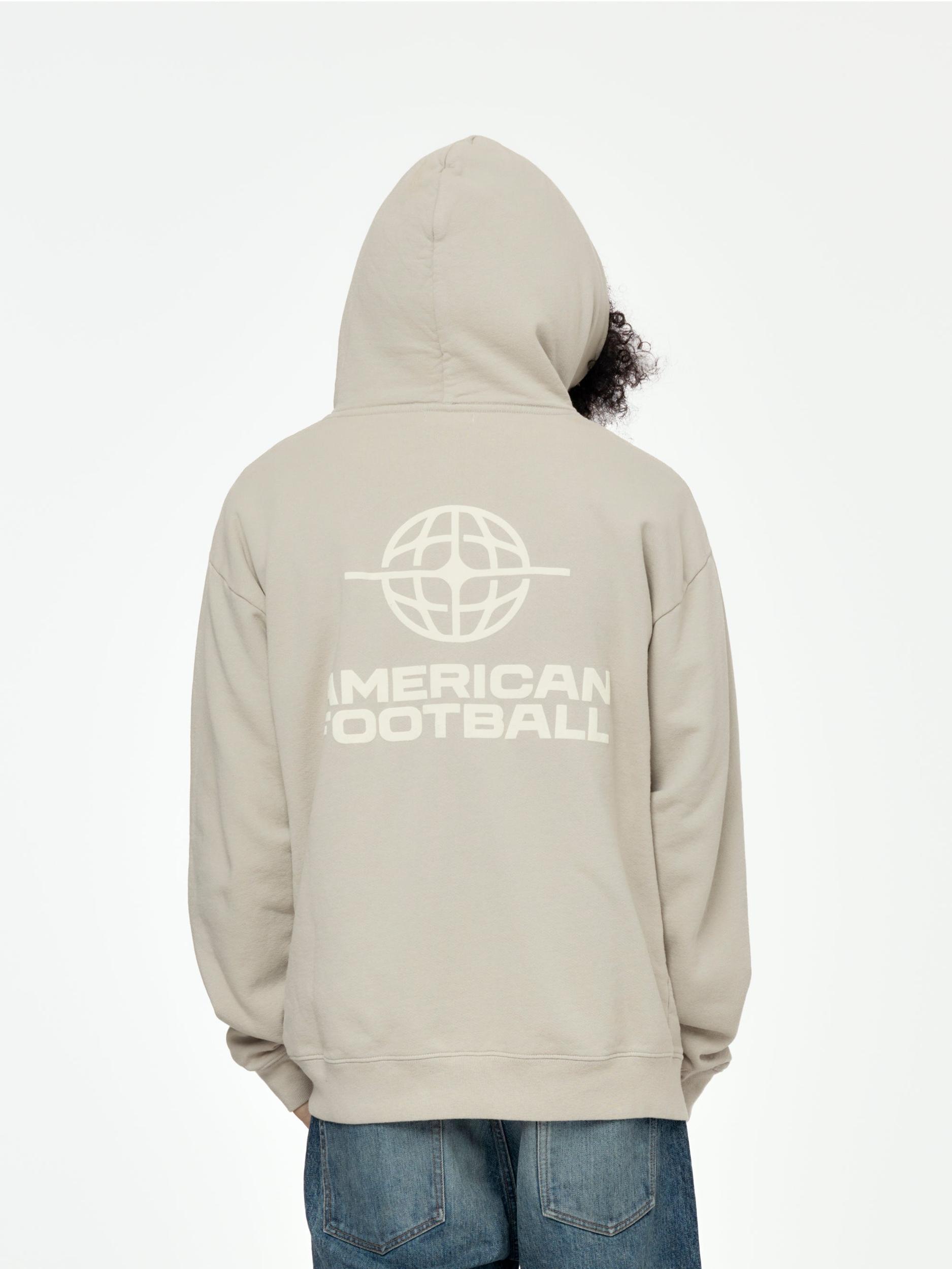 Big Icon Hoodie (Gray) Product Image