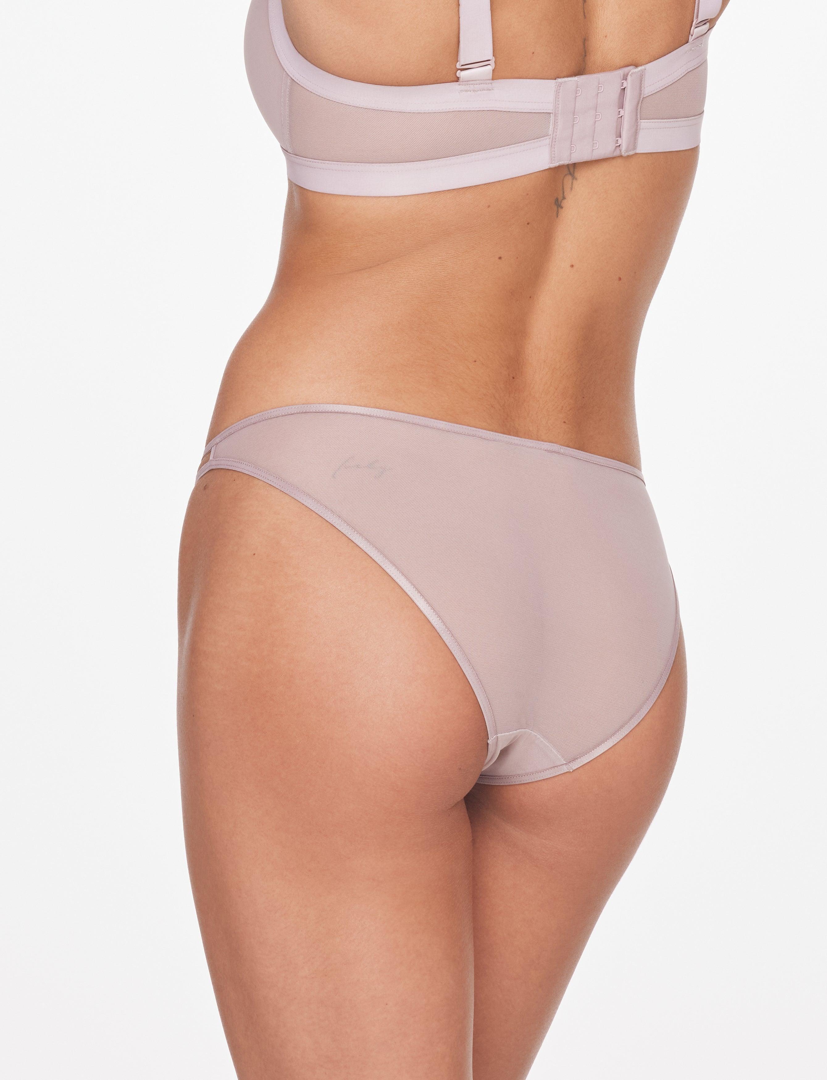 Bare Mesh Bikini Product Image