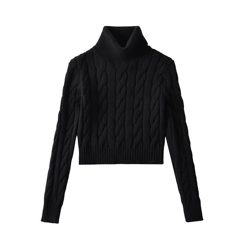 Turtleneck Plain Cable Knit Cropped Sweater Product Image