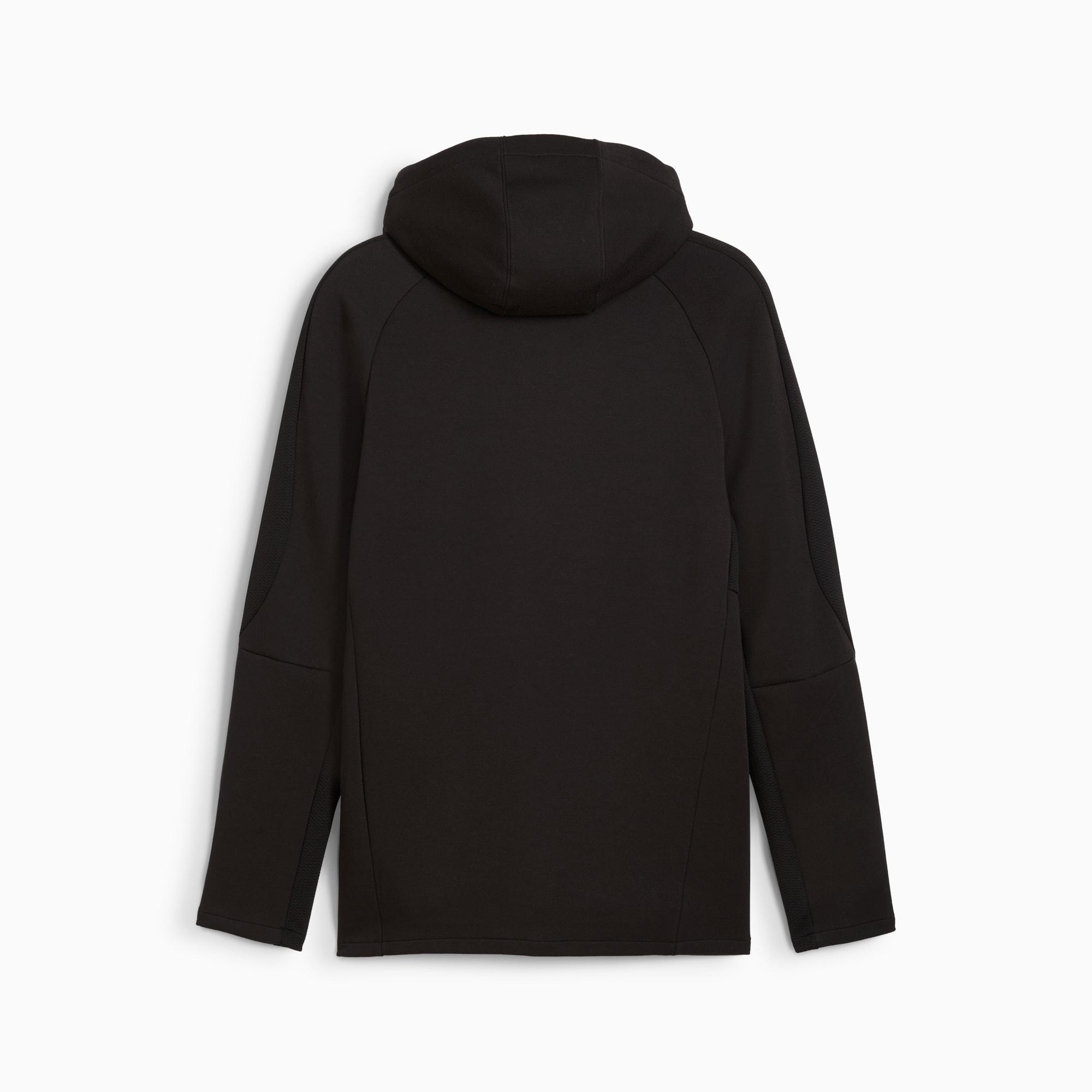 EVOSTRIPE Full-Zip Men's Hoodie Product Image
