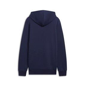 Tonal Collection Logo Men's Hoodie Product Image