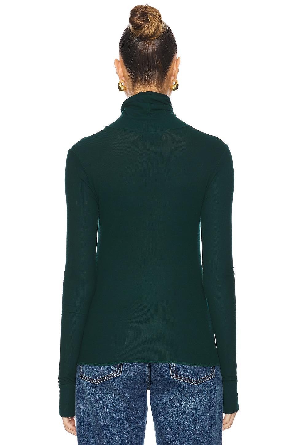 Arlen Long Sleeve Fitted Turtle Neck Top Michael Lauren Product Image