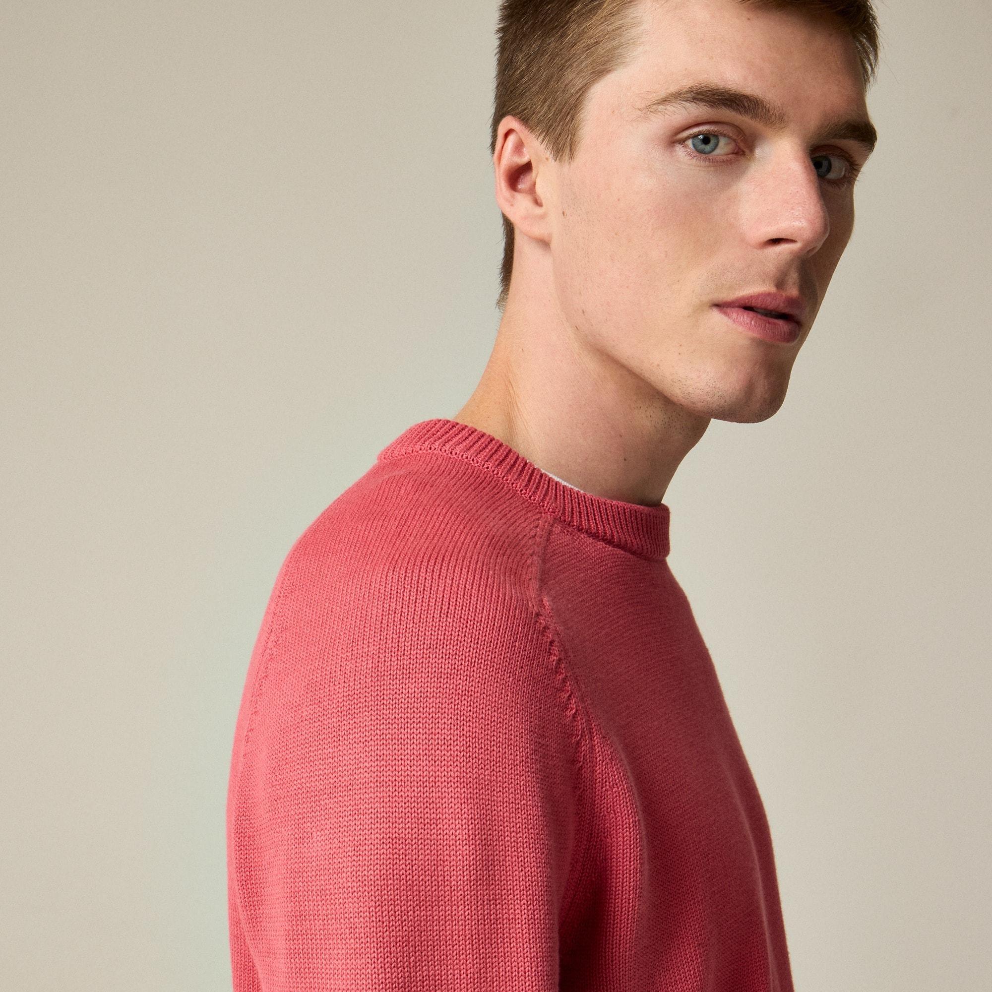 Heritage cotton crewneck sweater Product Image