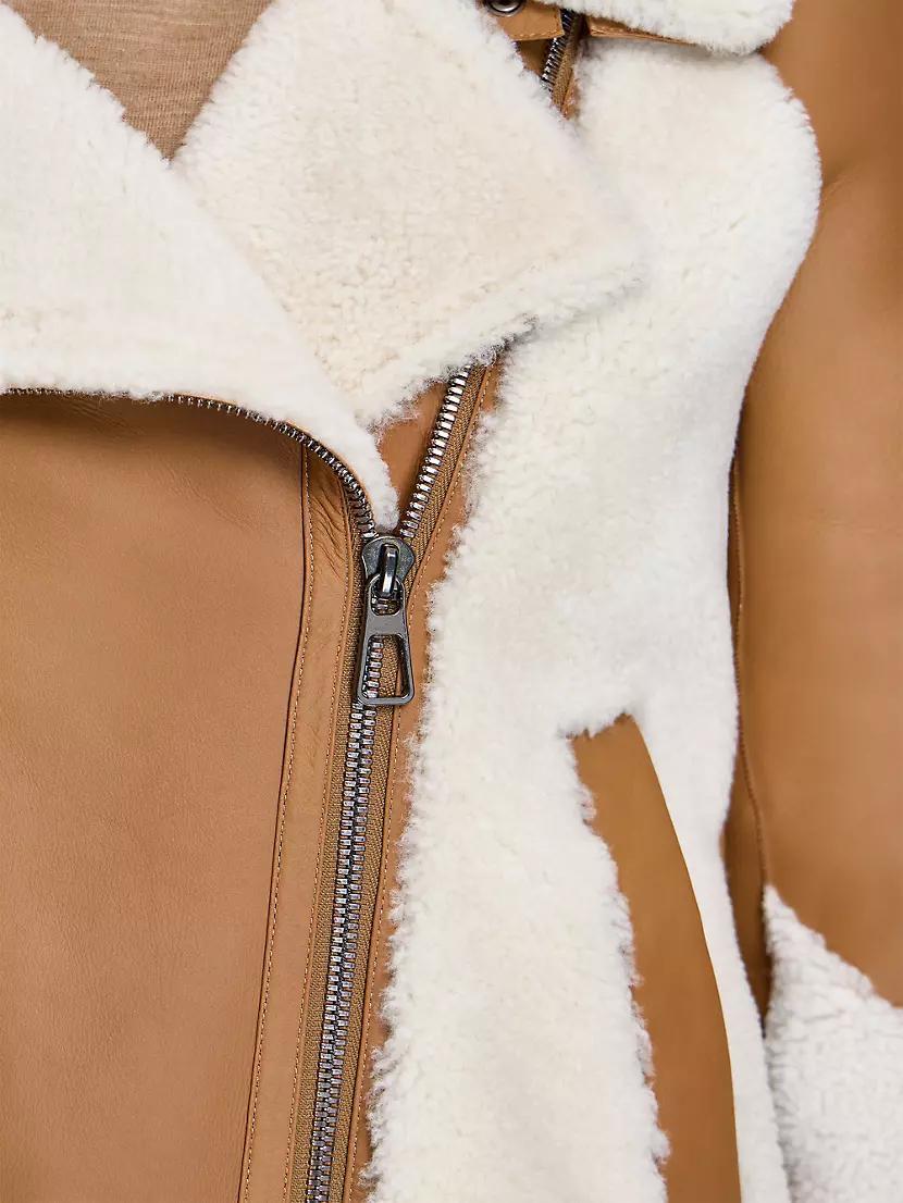 Leather & Shearling Biker Jacket Product Image