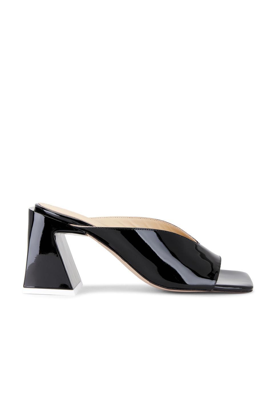 Tasha Leather Sandals ALOHAS Product Image