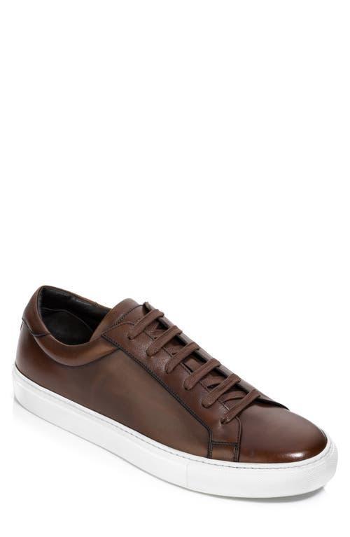 To Boot New York Mens Sierra Low Top Sneakers Product Image
