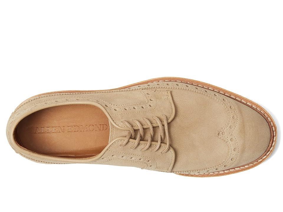 Men's William Wingtip Leather Derby Shoes Product Image
