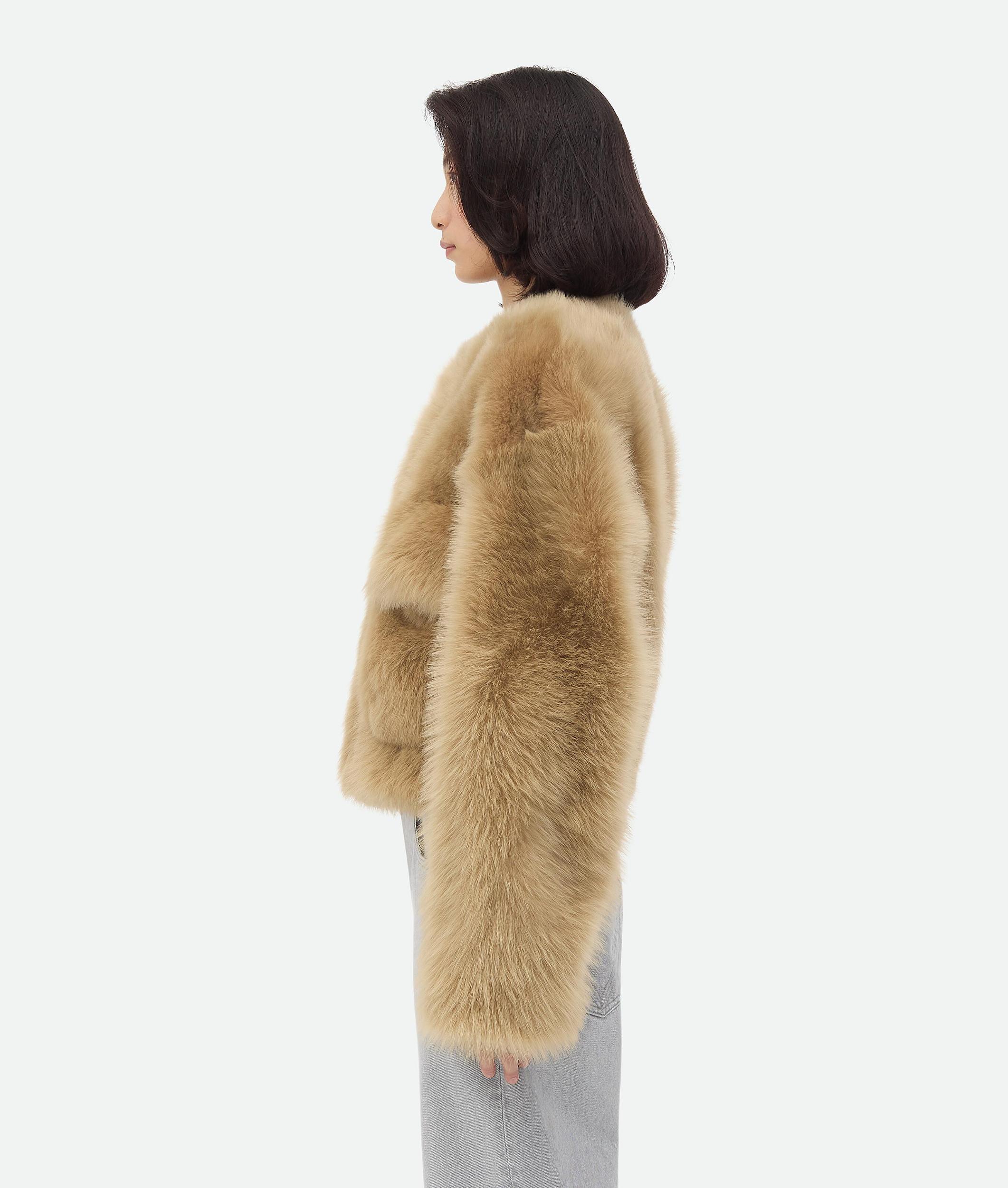 BOTTEGA VENETA Blouson Cropped En Shearling Toscana In Teddy Bear Product Image