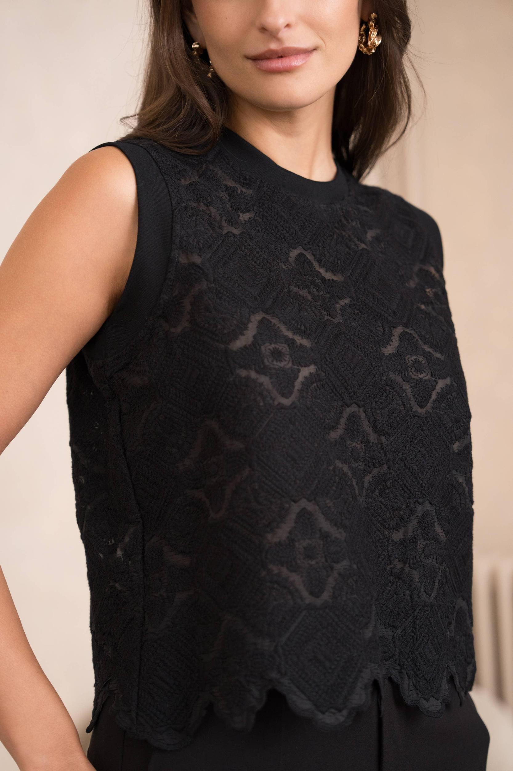 Semi-transparent embroidered lace top Product Image