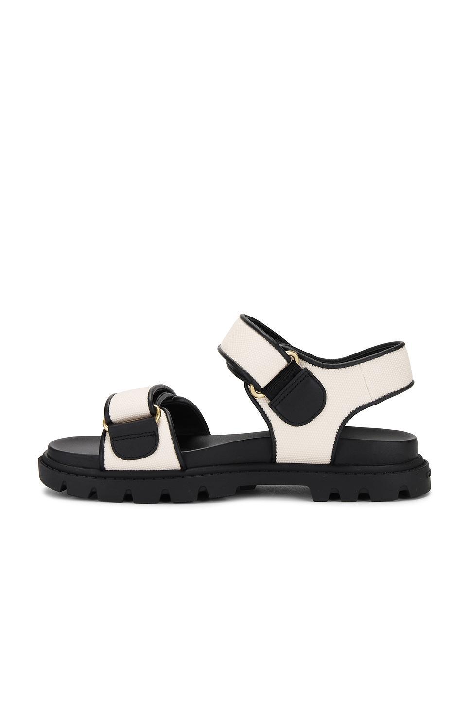 Brynn Sandal Coach Product Image