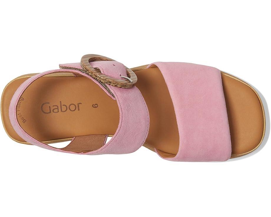 Gabor Product Image