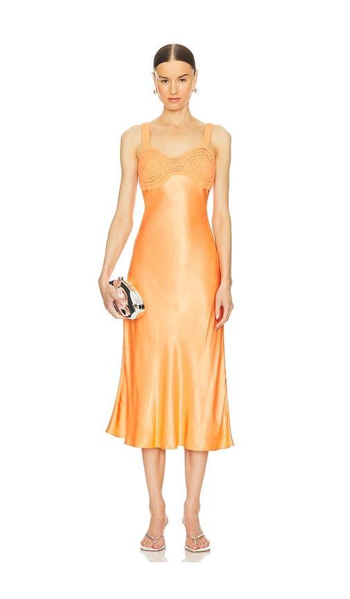 Laura Midi Dress Product Image