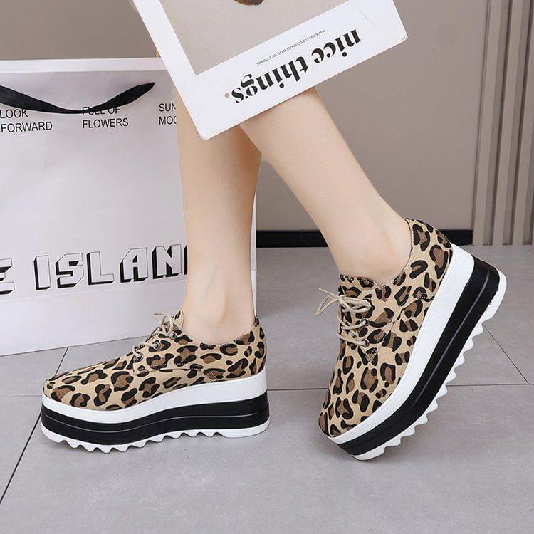 Leopard Print Platform Lace-Up Shoes Product Image