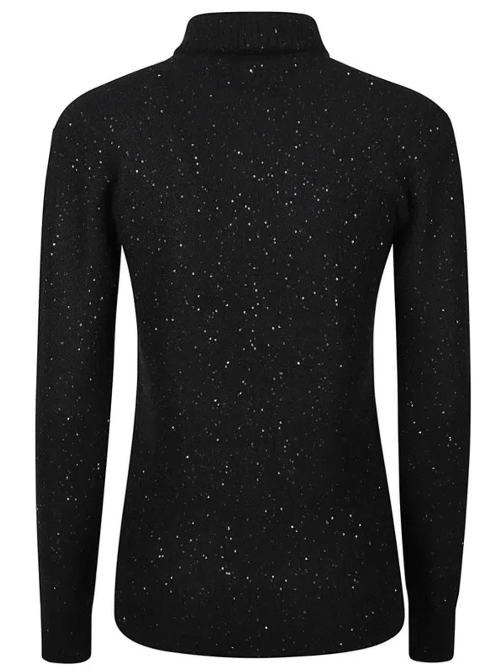 FABIANA FILIPPI Turtle Neck Sweater In Black Product Image