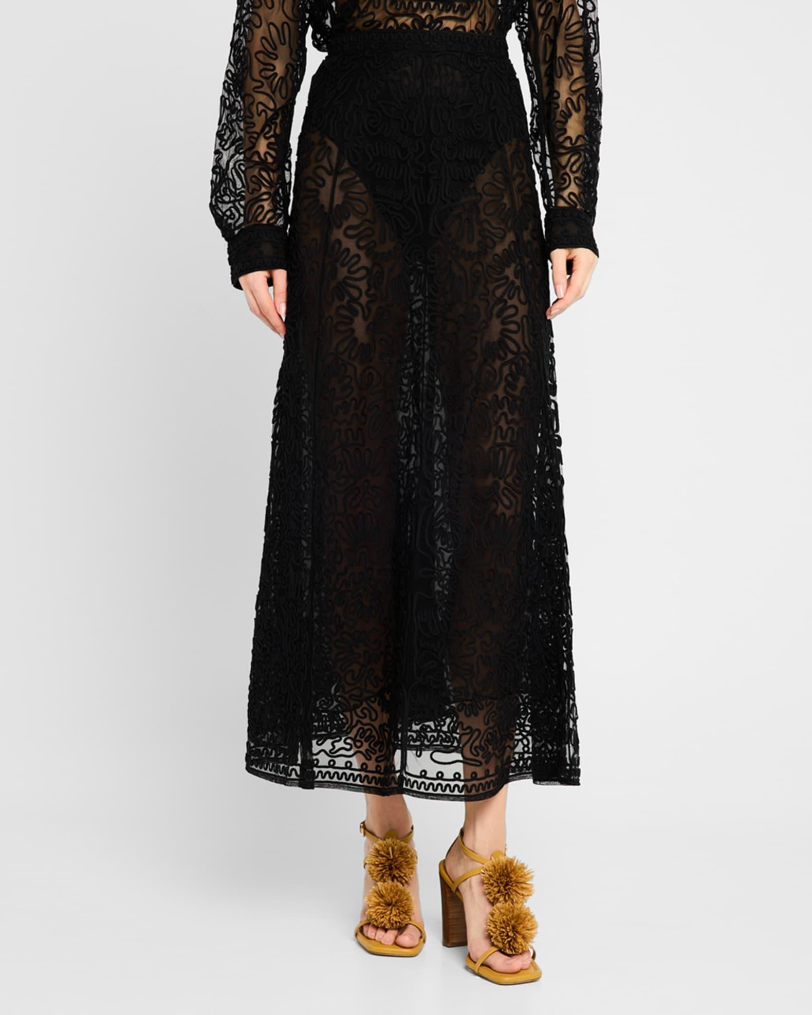 Katja Sheer Embroidered Skirt Product Image