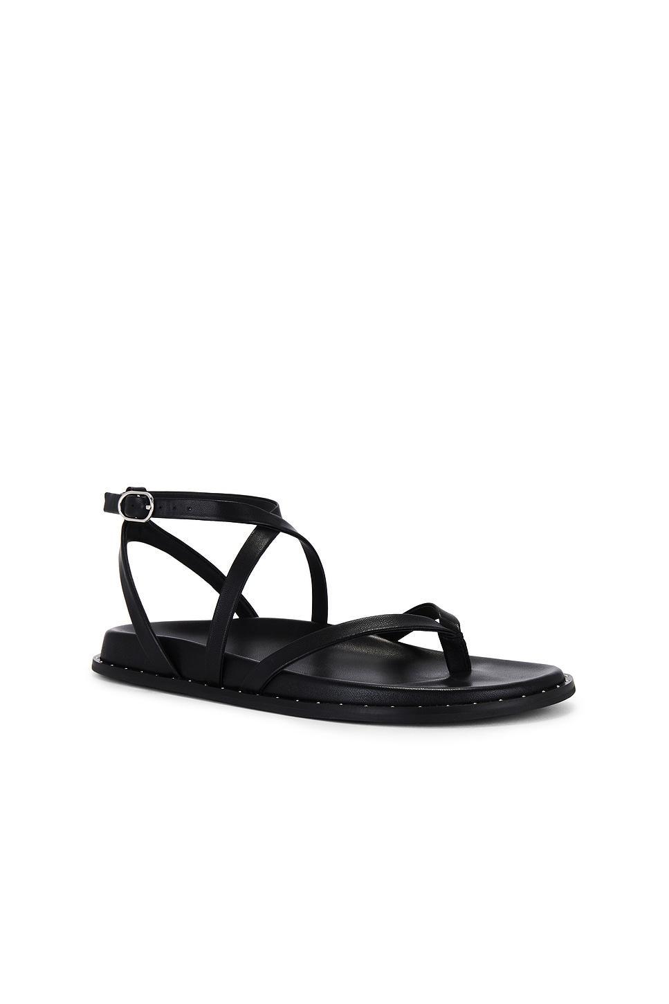 Zana Sandal PAIGE Product Image