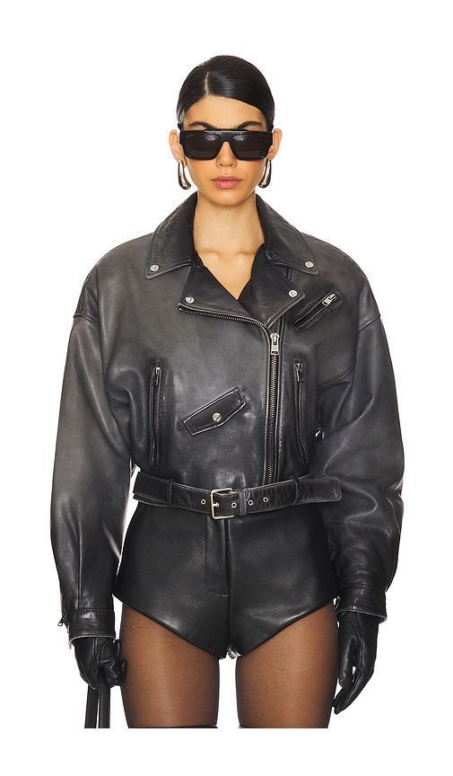 Dylan Jacket LAMARQUE Product Image