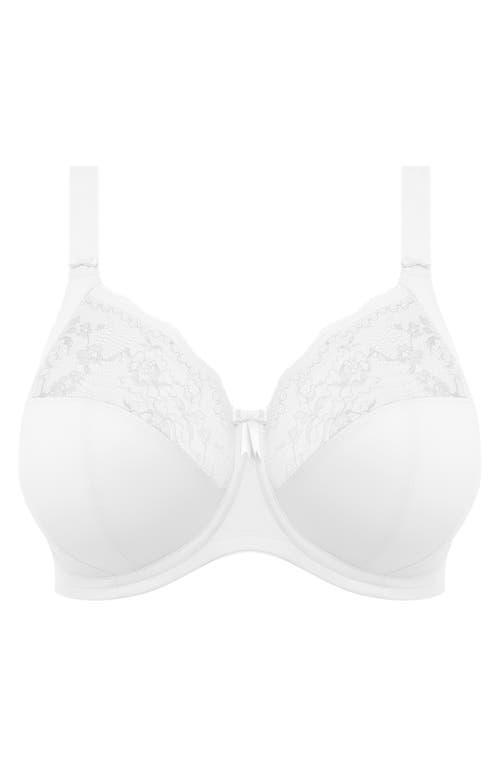 Elomi Morgan Underwire Stretch Lace Adjustable Bra Product Image