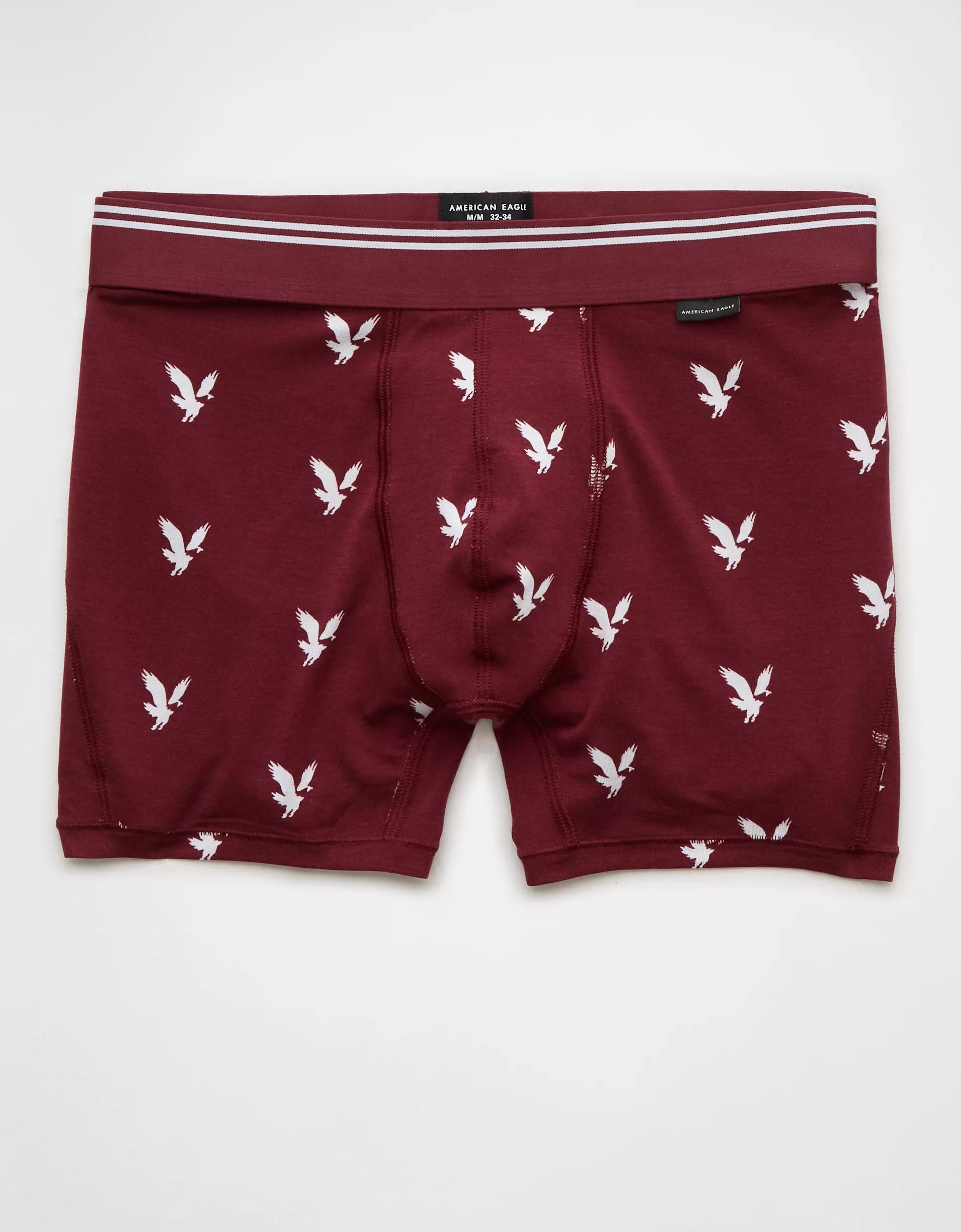 AEO Men's Eagles 4.5" Ultra Soft Boxer Brief Product Image