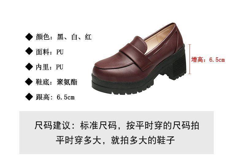 Plain Platform Chunky Heel Loafers Product Image