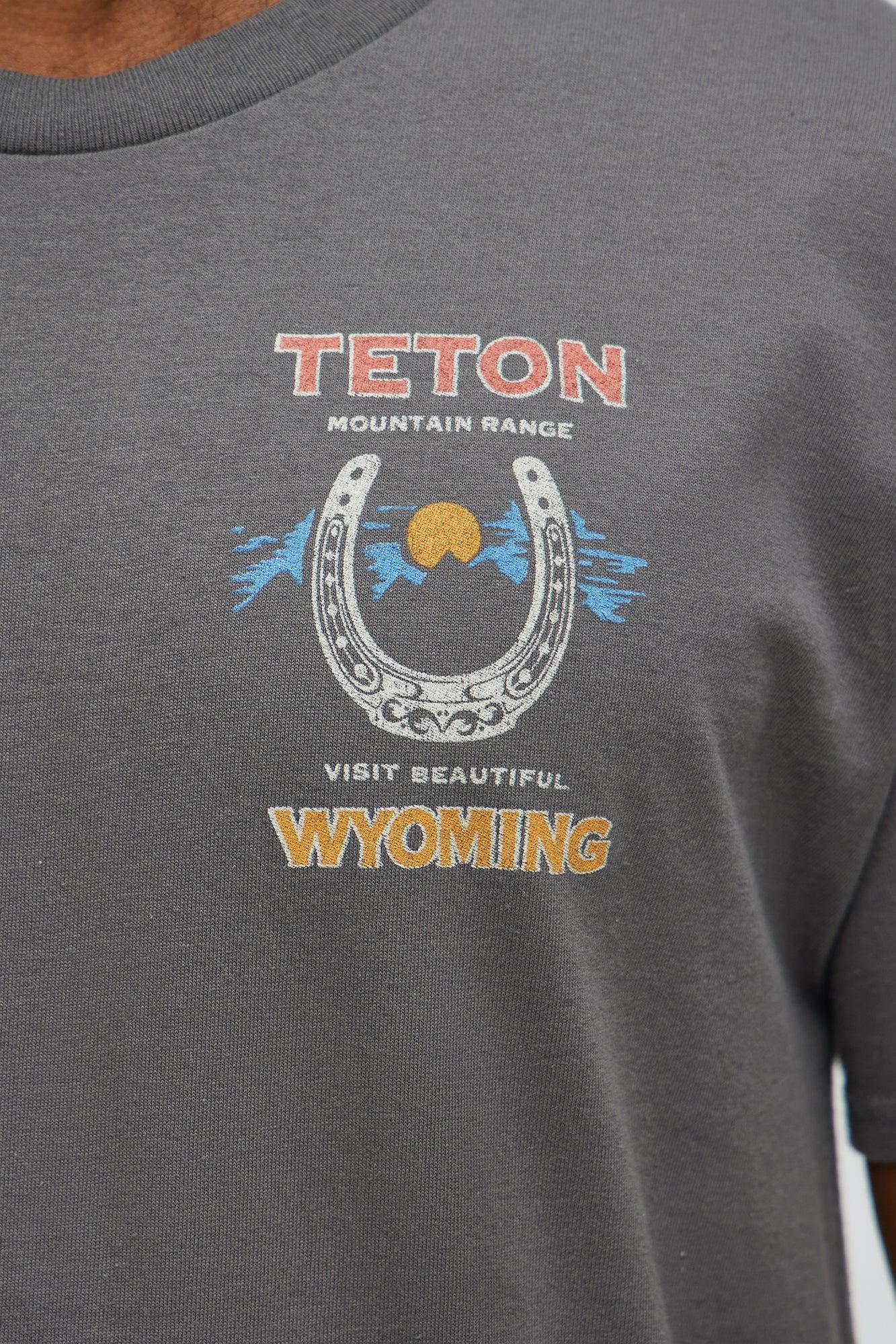 Teton Mountain Range Short Sleeve Tee - Charcoal Male Product Image