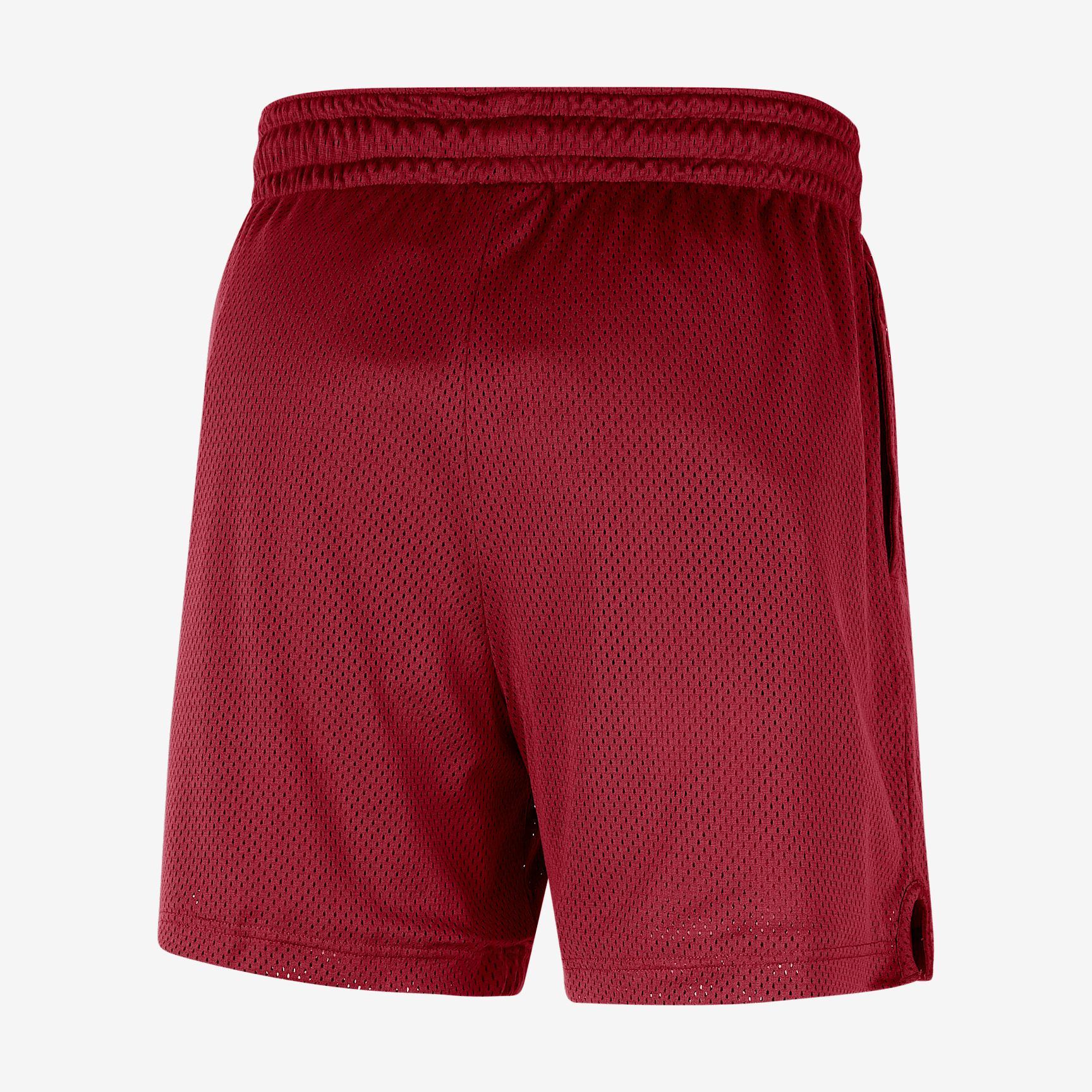 Chicago Bulls Men's Nike NBA Mesh Shorts Product Image