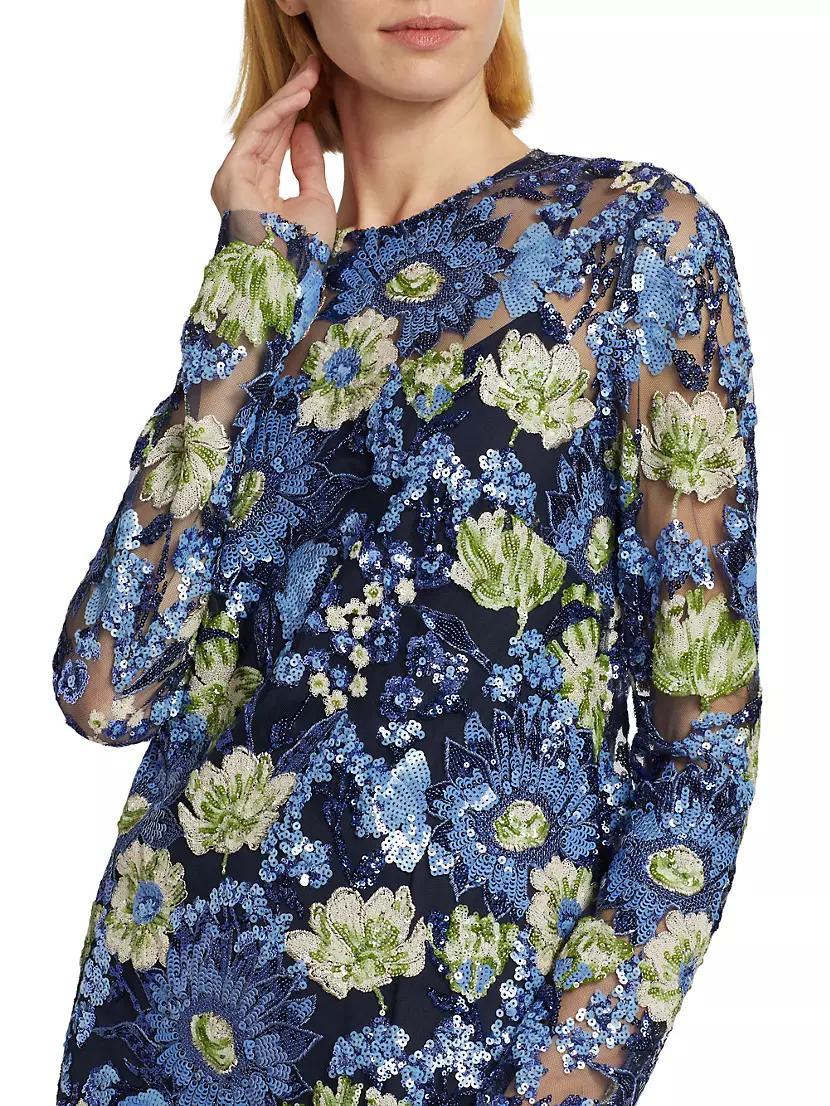 Embroidered Tulle Shift Dress Product Image