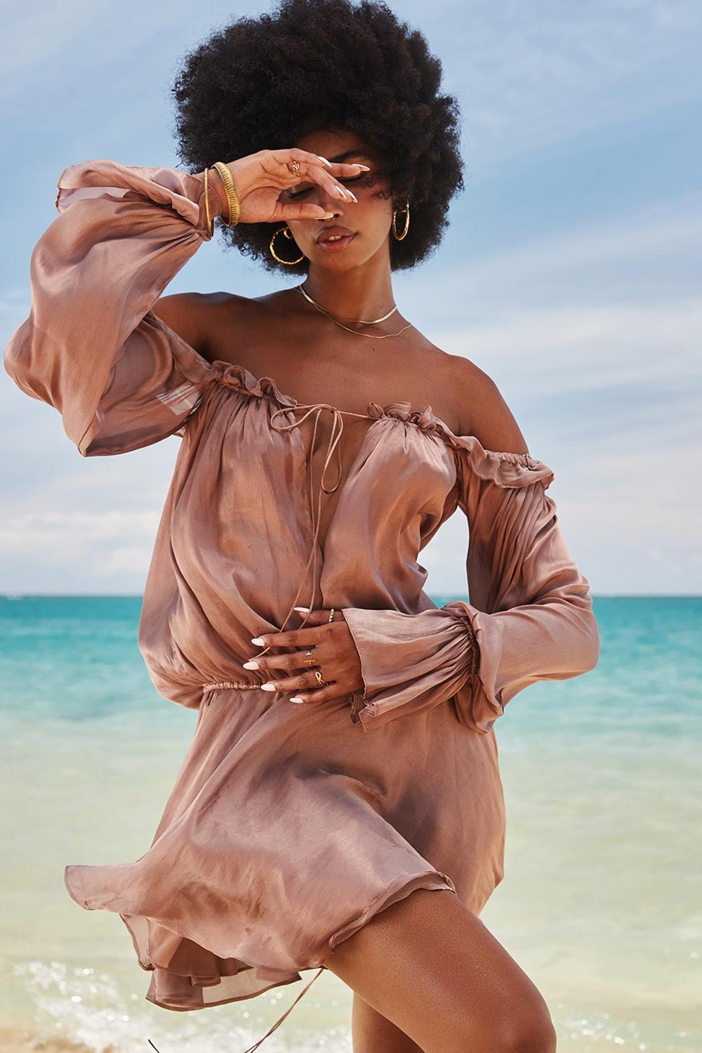 Chaya Hazelnut Off Shoulder Dress Product Image