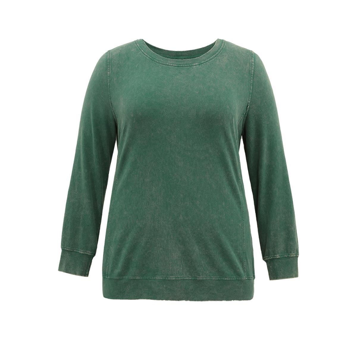 Plus Size Solid Vintage Round Neck Sweatshirt Women Cyan Casual Plain Round Neck Dailywear Sweatshirts BloomChic 28/5X Product Image