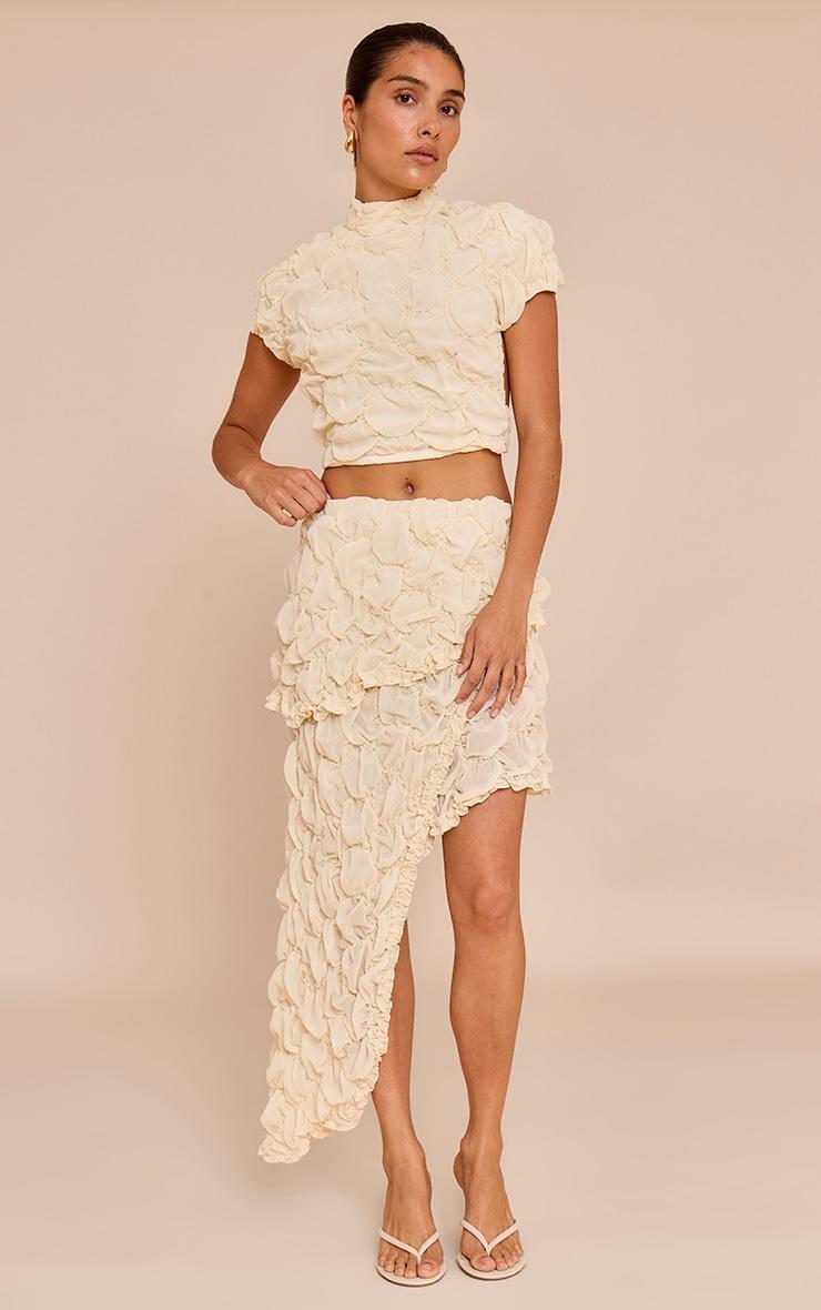 Petite Almond Textured Open Back Top Product Image