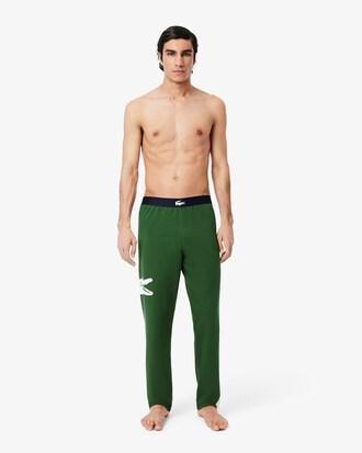 Printed Fleece Loungewear Pants Product Image