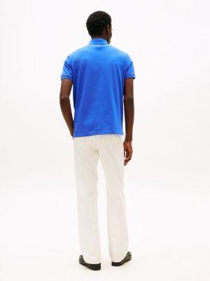 Regular Fit Embroidered Stripe Polo Product Image