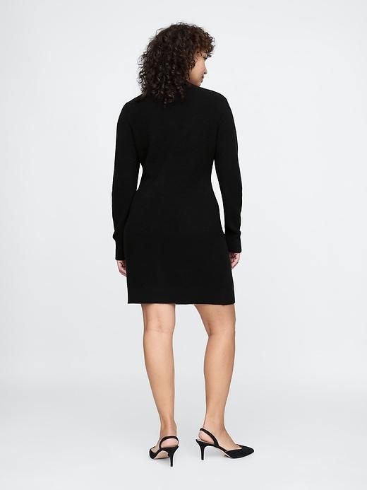 Shaker-Stitch Mini Sweater Dress Product Image