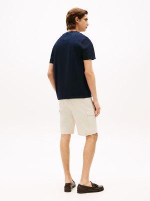 Lightweight Jersey Standard Raglan T-Shirt Male Product Image