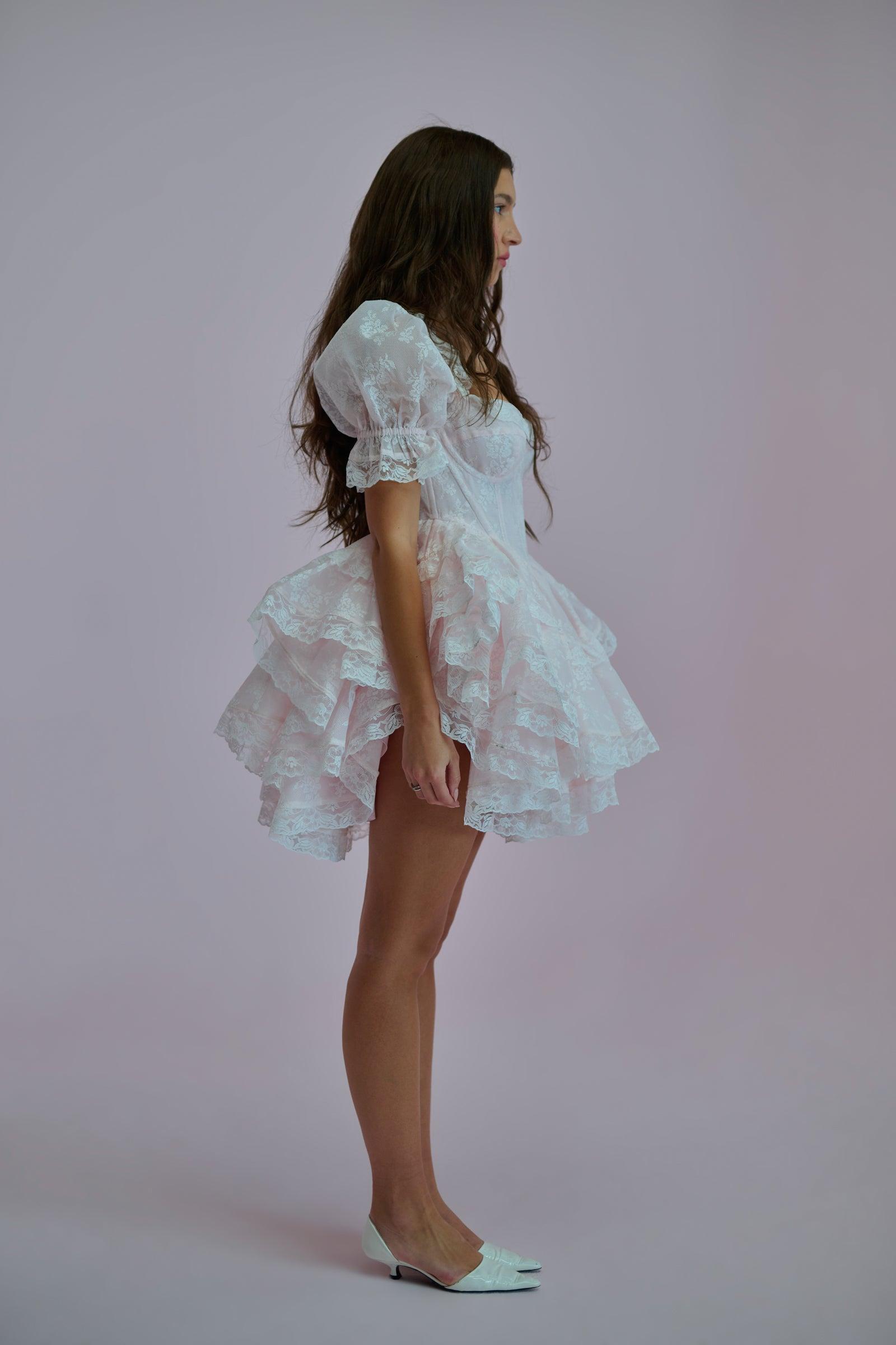 The Pink Lace Cecile Dress Product Image