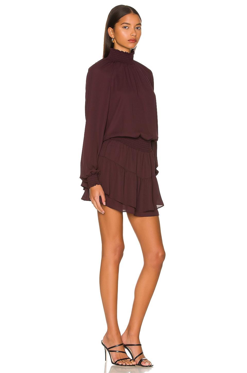 Smocked Turtleneck Dress Product Image